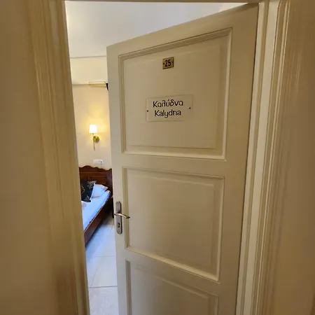 酒店 Archontiko 3*